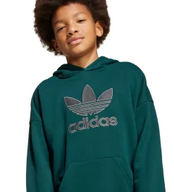 adidas Originals Hættetrøje - Aurivy
