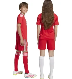 adidas Originals Shorts - FC Bayern München 25/26 - Pure Ruby