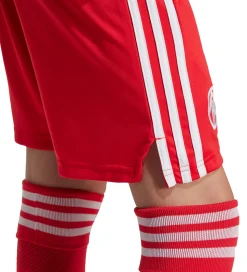 adidas Originals Shorts - FC Bayern München 25/26 - Pure Ruby