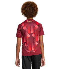 adidas Performance Fodboldtrøje - DFB A JSY Y - TECOBU