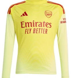 adidas Performance Fodboldtrøje - AFC H GK - PULYEL/TEPORE