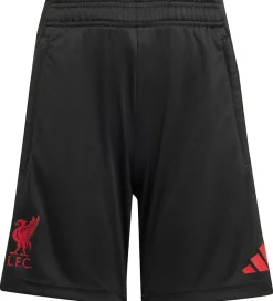 adidas Performance Shorts - Liverpool - Sort