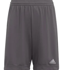 adidas Performance Shorts - Entrada 22 - Grå