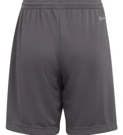 adidas Performance Shorts - Entrada 22 - Grå