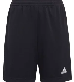 adidas Performance Shorts - Entrada 22 - Sort