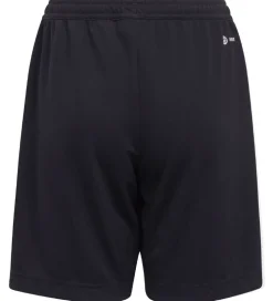 adidas Performance Shorts - Entrada 22 - Sort