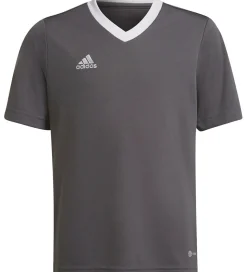 adidas Performance T-Shirt - ENT22 JSYY - Grå/Hvid