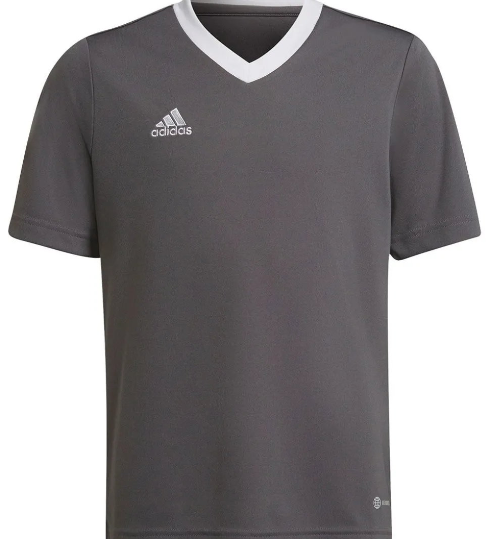 adidas Performance T-Shirt - ENT22 JSYY - Grå/Hvid