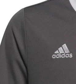 adidas Performance T-Shirt - ENT22 JSYY - Grå/Hvid