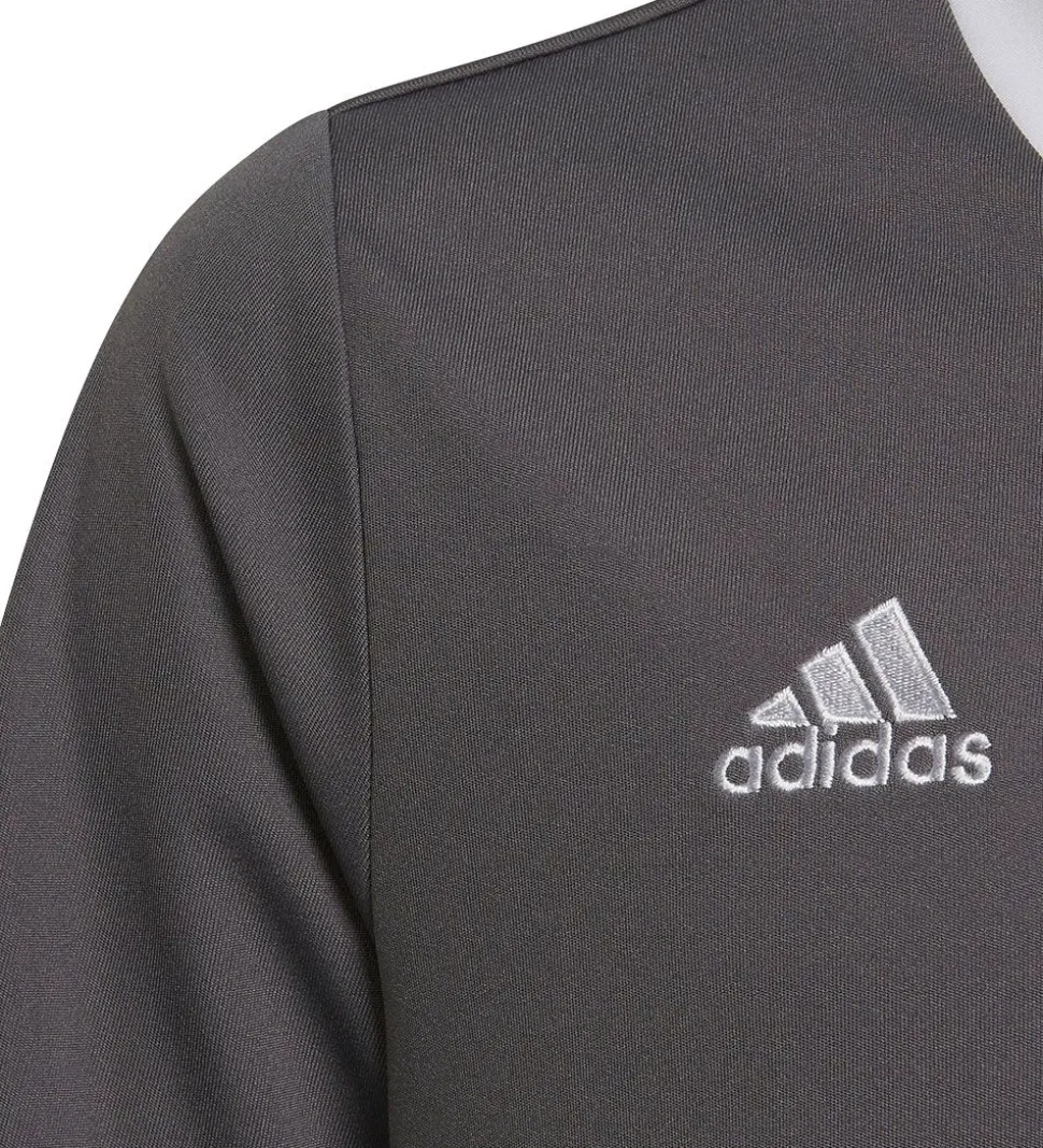 adidas Performance T-Shirt - ENT22 JSYY - Grå/Hvid