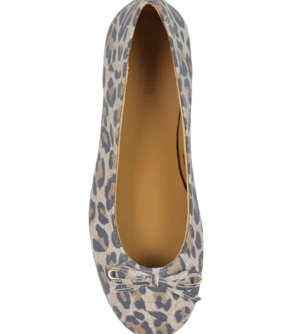 Angulus Ballerina - Leopard
