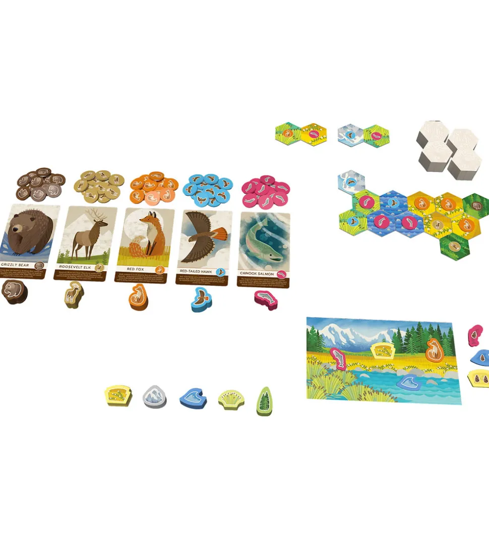 Asmodee Spil - Cascadia Junior