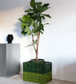 Aykasa Foldekasse - 60x40x22 cm - Maxi - Lime Cream