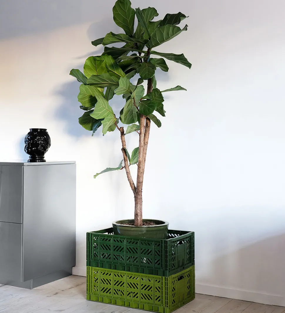 Aykasa Foldekasse - 60x40x22 cm - Maxi - Lime Cream