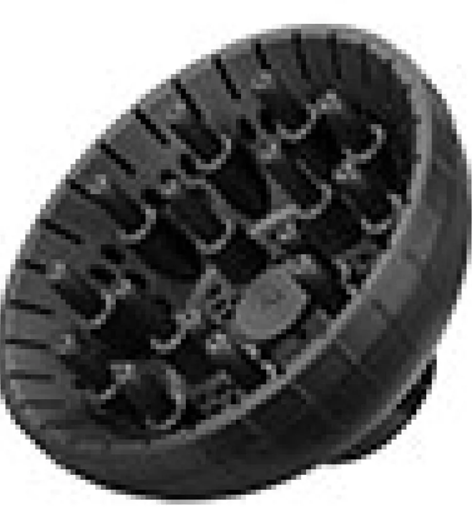 BaByliss Hårtørrer - Shine Pro - 2200W m. Diffuser