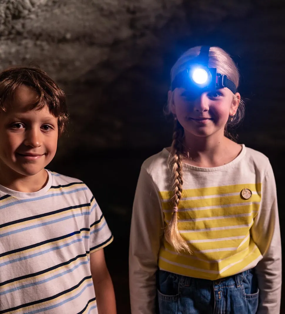 Bosch Mini Pandelampe - Legetøj - 6,5x4 cm - Grøn