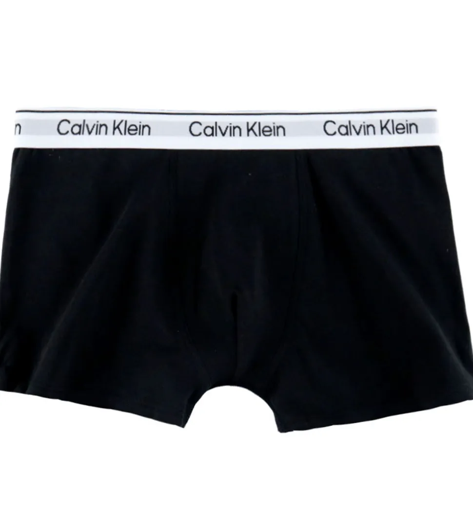 Calvin Klein Boxershorts - 2-pak - PVH Black/Black Iris