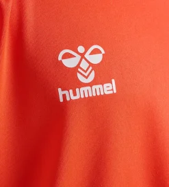 Hummel Træningssæt - HmlLogo - Nasturtium/Dark Denim
