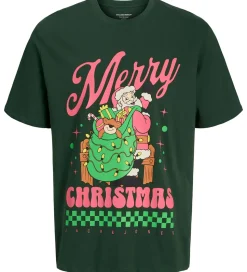Jack & Jones T-shirt - JorHoliday Cartoon - Sycamore