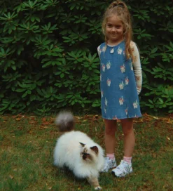 Konges Sløjd Spencer - Magot - Bow Kitty Denim