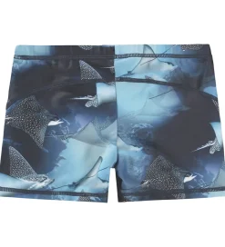 Molo Badebukser - UV50+ - Norton - Into The Blue