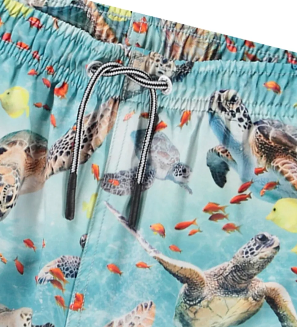 Molo Badeshorts - UV50+ - Niko - Marine Turtles