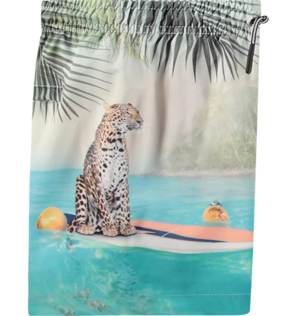 Molo Badeshorts - UV50+ - Niko - Leo On Surf