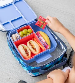 MontiiCo Indsatser - 2-pak - Bento Feast - Silikone - Watermelon