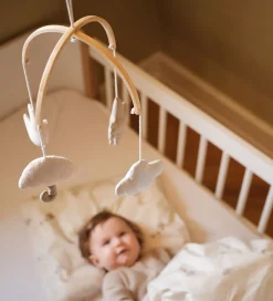 Moonboon Uro - Nature