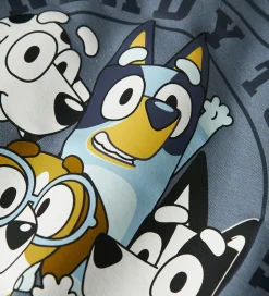 Name it Sweatshirt - NmmNimbu - Bluey - Flint Stone