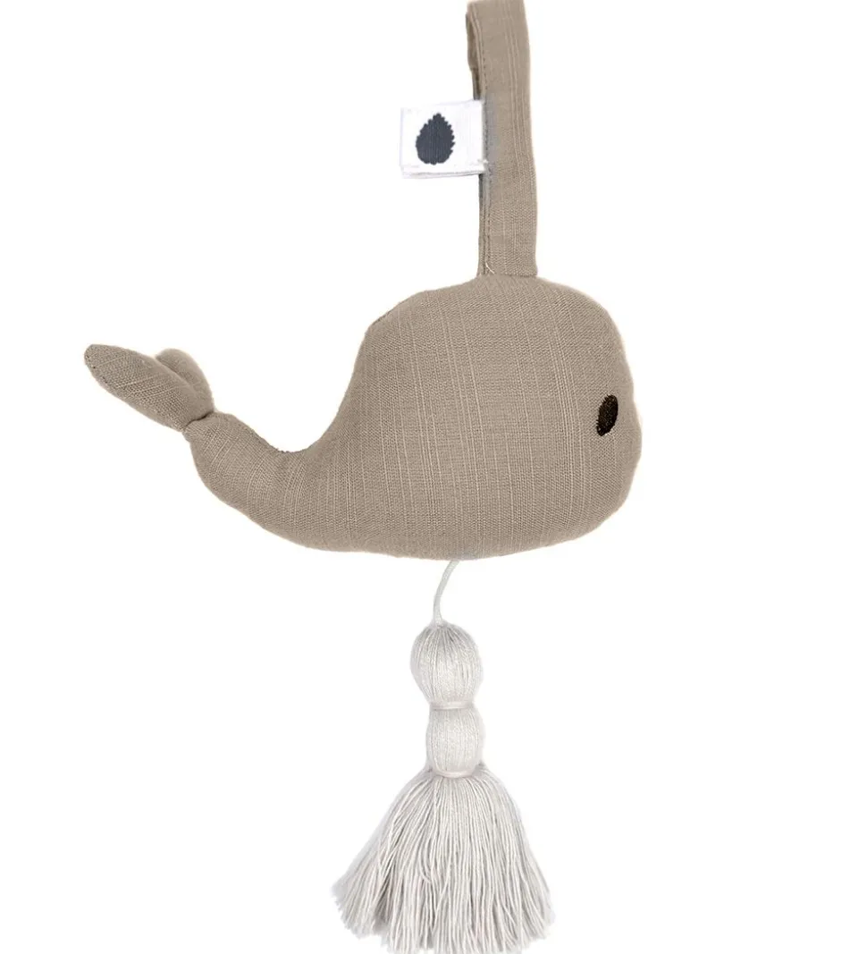 Pine Cone Musikuro - Waldo - Mushroom