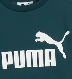 Puma Sweatsæt - Minicats - Green Terrain m. Hvid