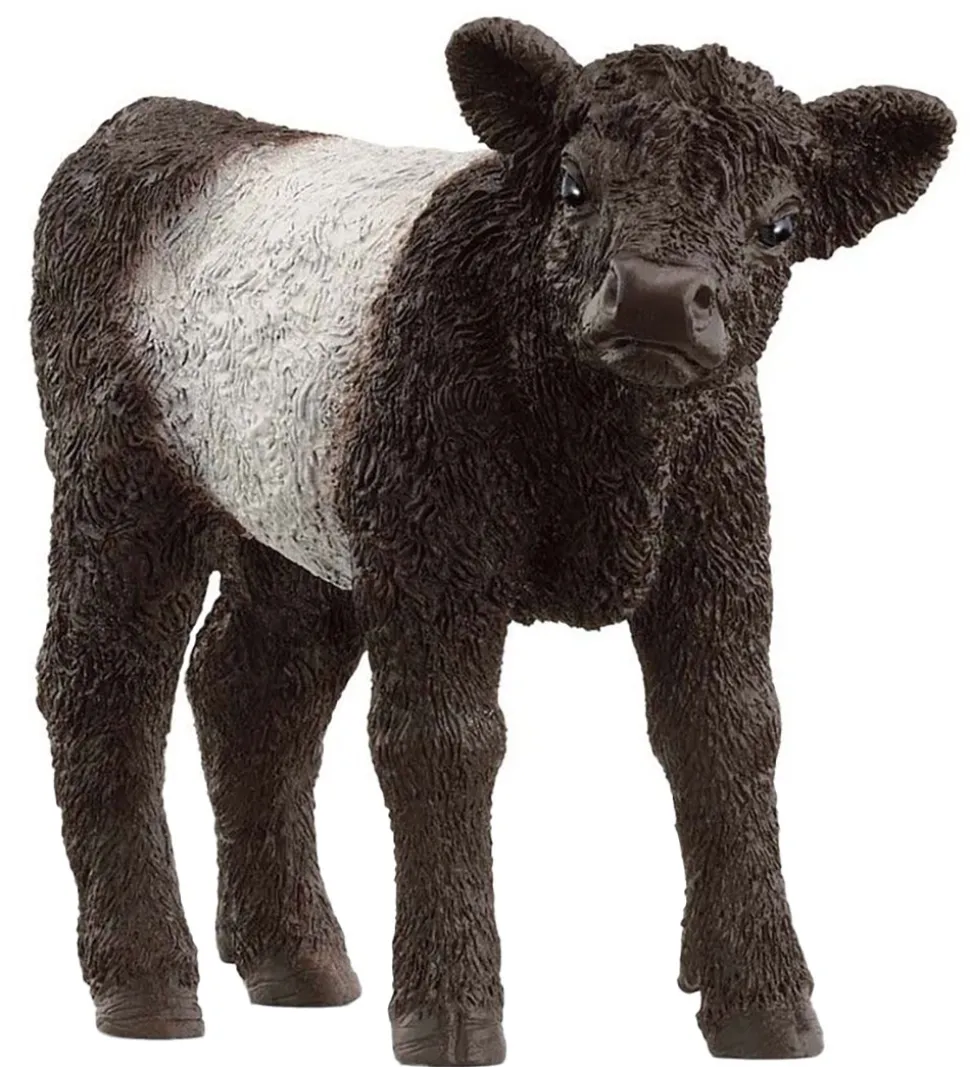 Schleich Farm World - Gallowaykalv - H: 5,7 cm - 13969