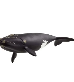 Schleich Wild Life - Nordkaper Hval - 19,5 cm - 14878