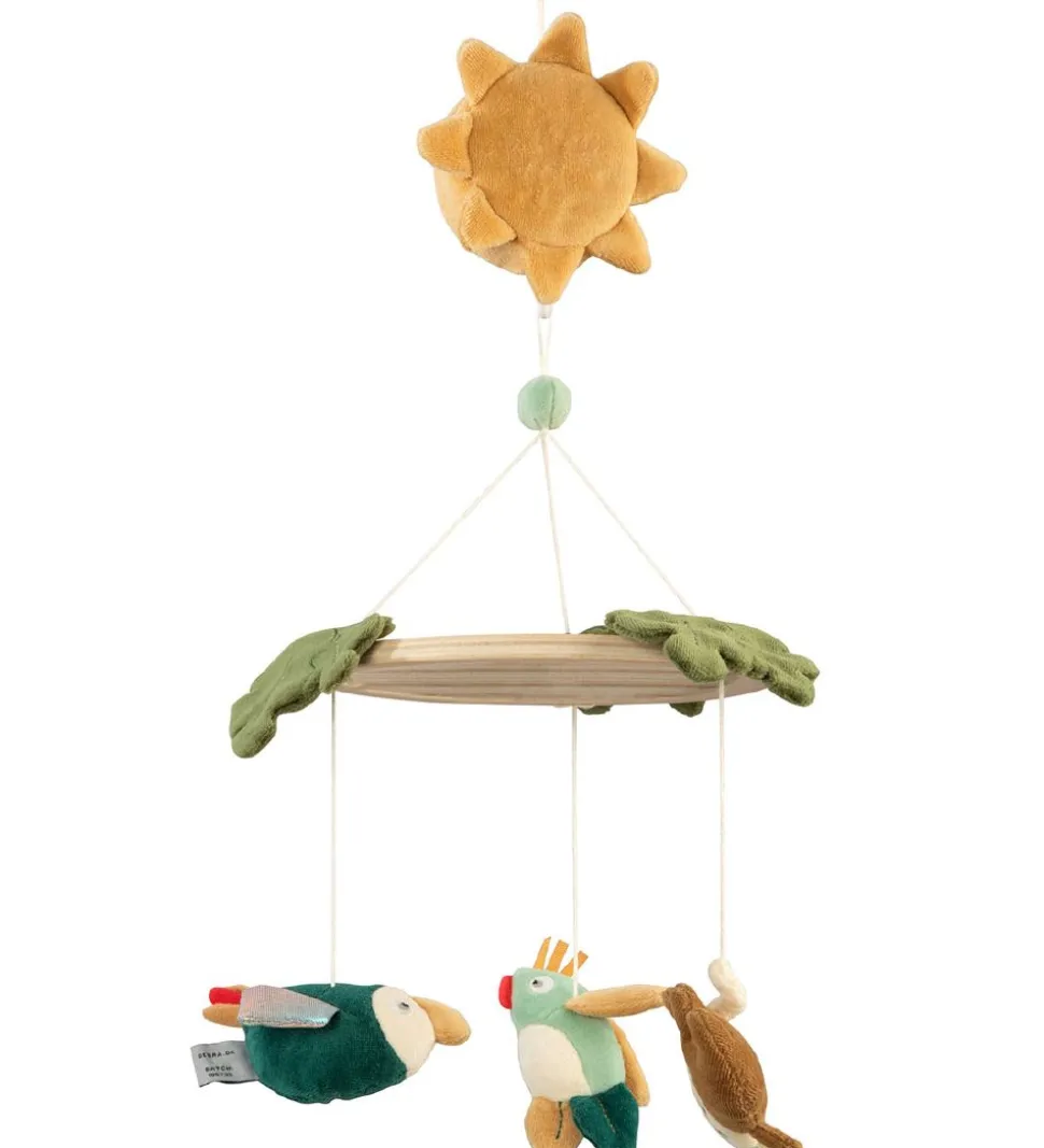 Sebra Musikuro m. Spejl - Wildlife