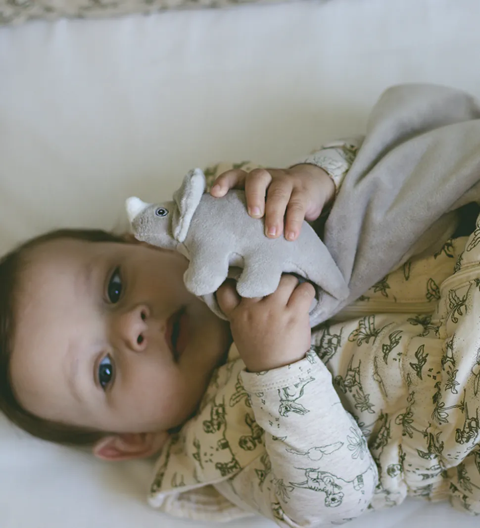 That's Mine Nusseklud - Jacob - Dino