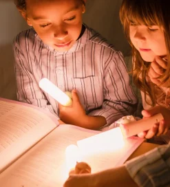 The Zoofamily Lampe - - 3-i-1 - Brun m. Ræv