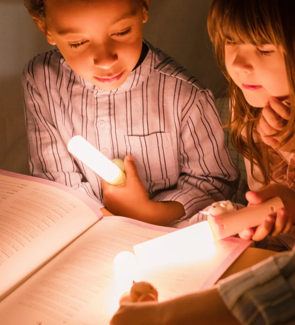 The Zoofamily Lampe - - 3-i-1 - Brun m. Ræv