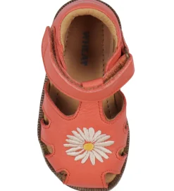 Wheat Sandaler - Lowe - Coral